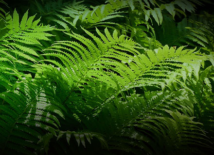 ���ξ���(�й�)�������޹�˾����